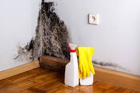 Best Forensic Mold Investigation  in North Prairie, WI